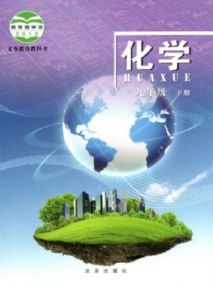 北京版九年級(jí)化學(xué)下冊(cè)