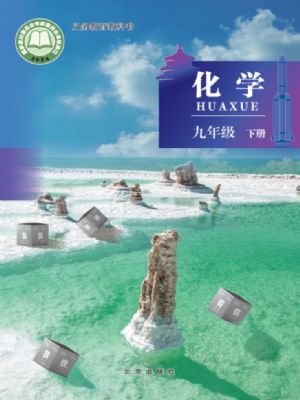 北京版九年級(jí)化學(xué)下冊(cè)(2025版)