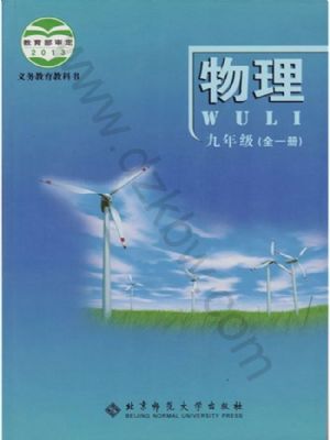 北師大版九年級物理全冊