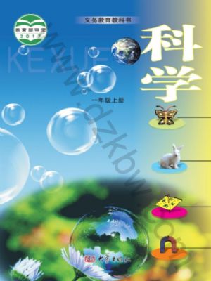 大象版一年級科學(xué)上冊