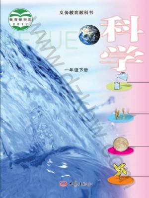 大象版一年級科學下冊