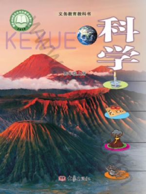 大象版五年級(jí)科學(xué)上冊(cè)
