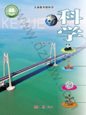 大象版六年級(jí)科學(xué)下冊(cè)