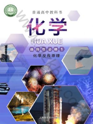 滬科版高二化學(xué)選擇性必修1 化學(xué)反應(yīng)原理