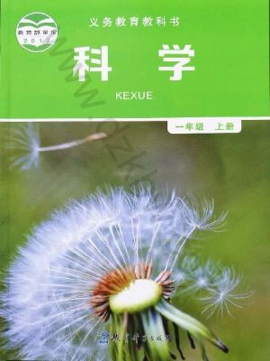 教科版一年級科學(xué)上冊