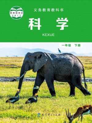 ̿ưһ꼉ƌW