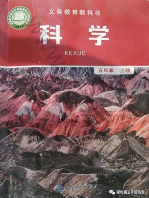 教科版五年級(jí)科學(xué)上冊(cè)