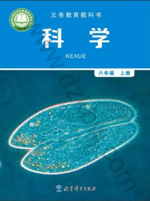 教科版六年級(jí)科學(xué)上冊(cè)