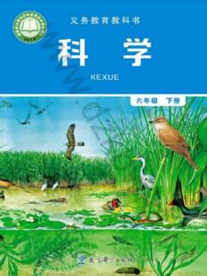 教科版六年級科學(xué)下冊