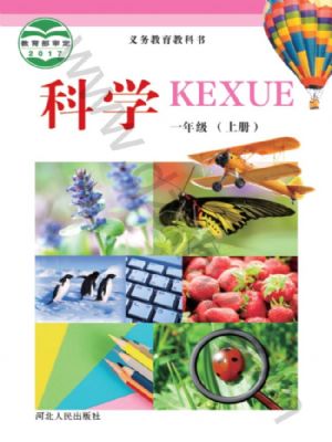 冀人版一年級(jí)科學(xué)上冊(cè)