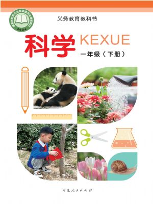 ˰һ꼉ƌW(xu)(2025)