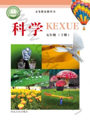 冀人版五年級(jí)科學(xué)下冊(cè)
