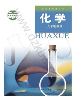 科粵版九年級化學(xué)下冊