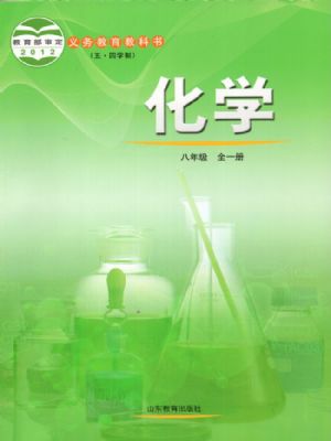 魯教版八年級(jí)化學(xué)全冊(cè)