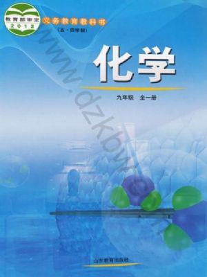魯教版九年級化學(xué)全冊