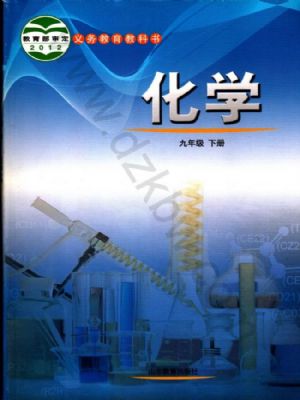 魯教版九年級化學(xué)下冊