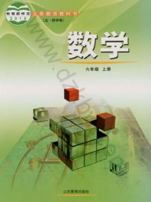 魯教版六年級數(shù)學上冊