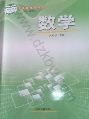魯教版八年級(jí)數(shù)學(xué)下冊(cè)