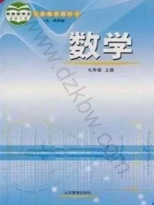 魯教版九年級數(shù)學(xué)上冊