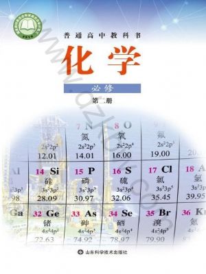 魯科版高一化學(xué)必修 第二冊