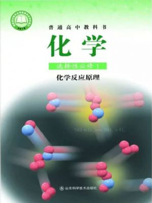 魯科版高二化學選擇性必修1 化學反應原理