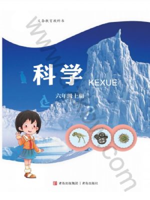 青島版六年級(jí)科學(xué)上冊(cè)