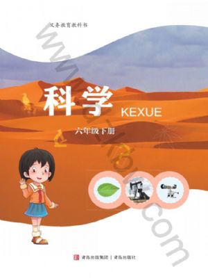 青島版六年級(jí)科學(xué)下冊(cè)