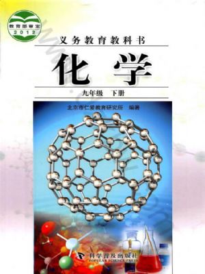 仁愛版九年級化學(xué)下冊