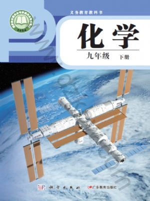 仁愛版九年級(jí)化學(xué)下冊(cè)(2025版)
