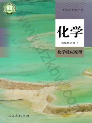 人教版高二化學(xué)選擇性必修1 化學(xué)反應(yīng)原理