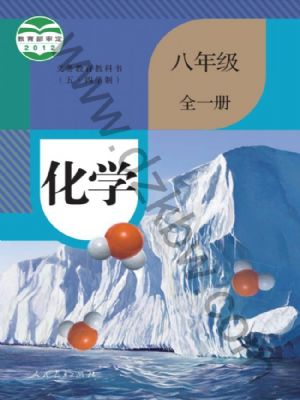 人教版八年級化學(xué)全一冊