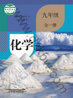 人教版九年級(jí)化學(xué)全一冊(cè)