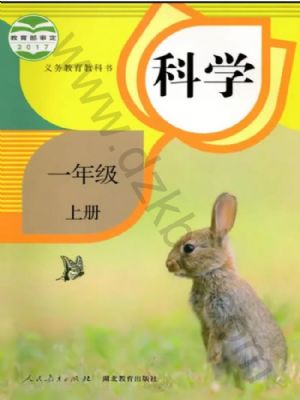 人教版一年級科學(xué)上冊