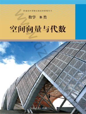 人教版高三數(shù)學空間向量與代數(shù)