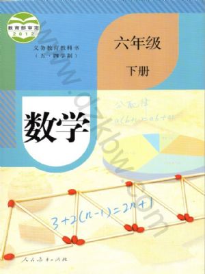 人教版六年級數(shù)學下冊