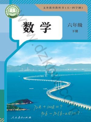 人教版六年級數(shù)學下冊(2025版)