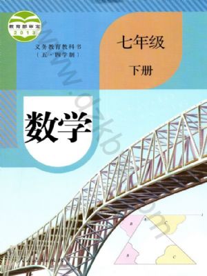 人教版七年級數(shù)學(xué)下冊