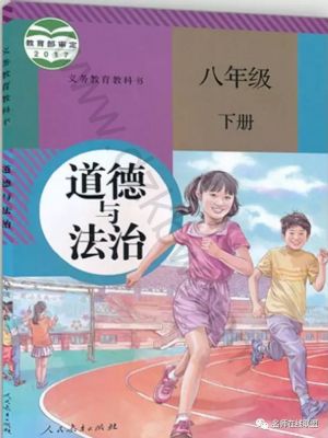 人教版八年級道德與法治下冊