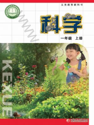 K̰һ꼉(j)ƌW(xu)σ(2024)