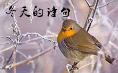 描寫冬天的詩句