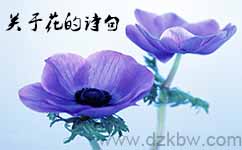 ,關(guān)于寫花的詩句,描寫寫花的詩句